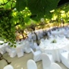 Your Wedding Planner in Malta05 image
